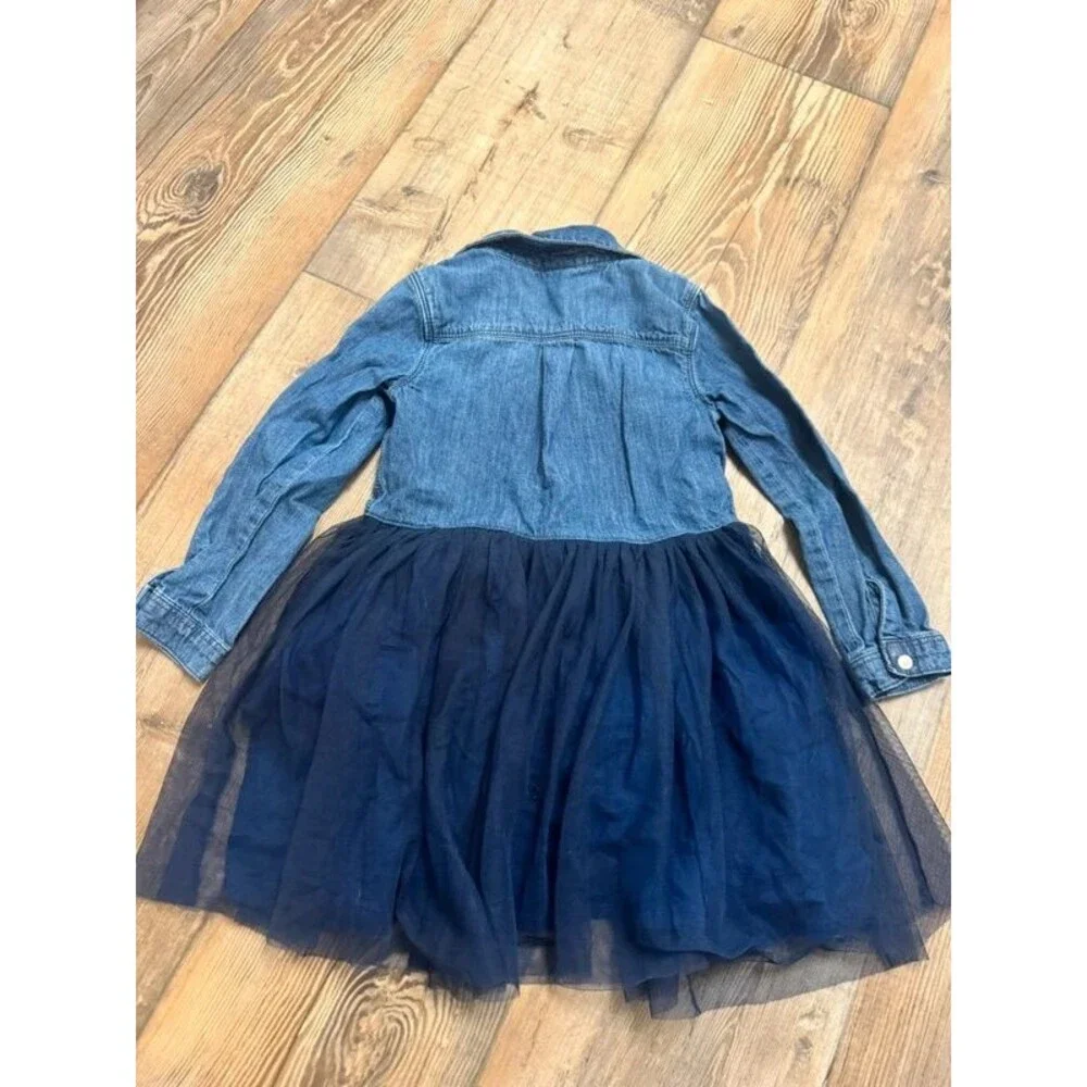Long sleeve dress with tulle skirt